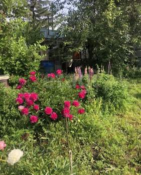 Дом 40м², 2-этажный, участок 7 сот.  