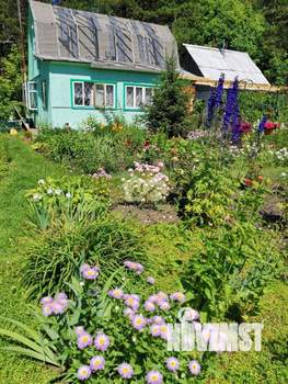 Дом 60м&sup2;, 1-этажный, участок 17 сот.  