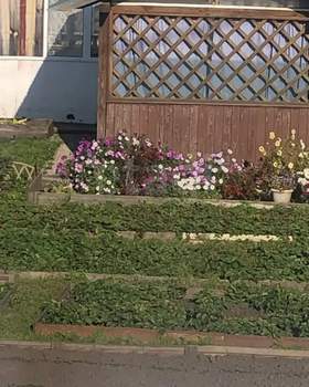 Дом 40м&sup2;, 2-этажный, участок 515 сот.  