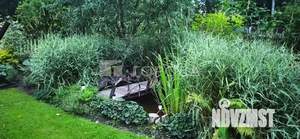 Дом 20м&sup2;, 1-этажный, участок 5 сот.  