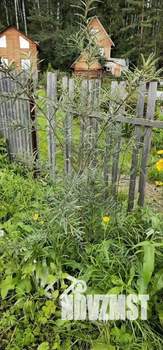 Дом 44м², 2-этажный, участок 4 сот.  