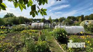 Дом 20м&sup2;, 1-этажный, участок 5 сот.  