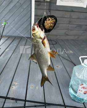 Дом 48м&sup2;, 2-этажный, участок 4 сот.  