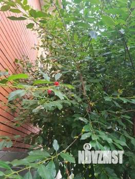 Дом 412м&sup2;, 2-этажный, участок 8 сот.  