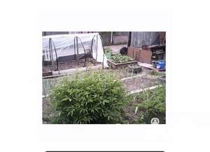 Дом 40м&sup2;, 1-этажный, участок 1 сот.  