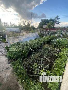 Дом 30м², 1-этажный, участок 6 сот.  