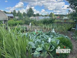 Дом 30м², 1-этажный, участок 5 сот.  