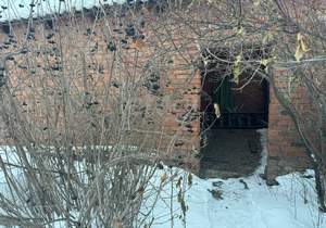 Дом 103м&sup2;, 1-этажный, участок 16 сот.  