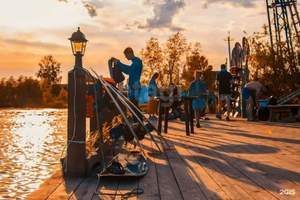 Дом 35м&sup2;, 2-этажный, участок 9 сот.  