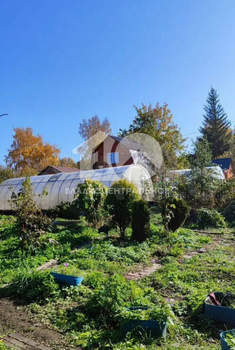 Дом 43м&sup2;, 1-этажный, участок 7 сот.  