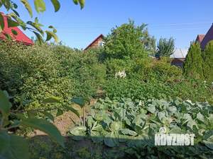 Дом 46м&sup2;, 2-этажный, участок 4 сот.  