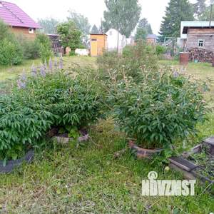 Дом 50м², 2-этажный, участок 6 сот.  