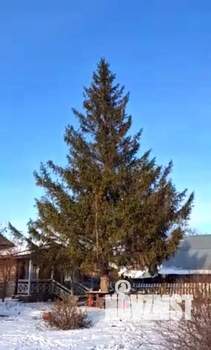 Дом 137м&sup2;, 1-этажный, участок 14 сот.  