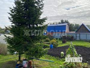 Дом 32м&sup2;, 1-этажный, участок 6 сот.  