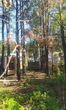 Дом 40м&sup2;, 2-этажный, участок 5 сот.  