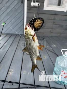 Дом 48м², 2-этажный, участок 4 сот.  