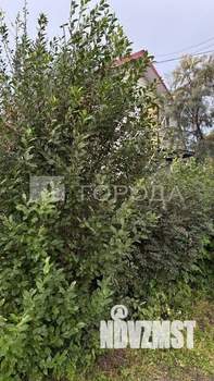 Дом 32м&sup2;, 1-этажный, участок 4 сот.  