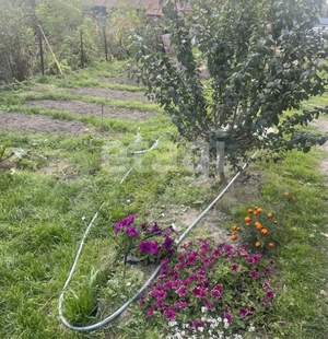 Дом 55м&sup2;, 1-этажный, участок 6 сот.  