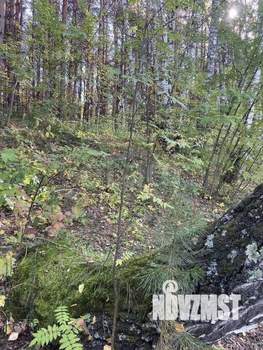 Дом 40м², 2-этажный, участок 5 сот.  