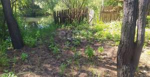 Дом 40м&sup2;, 2-этажный, участок 5 сот.  