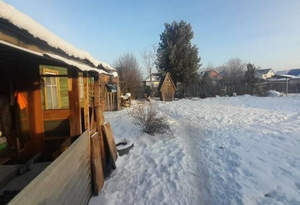 Дом 50м&sup2;, 1-этажный, участок 6 сот.  