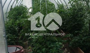 Дом 46м², 1-этажный, участок 12 сот.  
