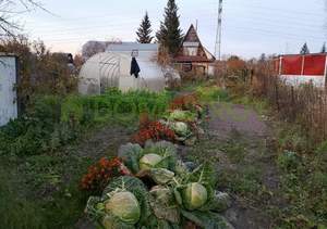 Дача 30м², 1-этажный, участок 6 сот.  