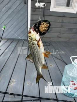 Дом 48м&sup2;, 2-этажный, участок 4 сот.  