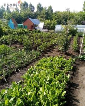 Дом 80м&sup2;, 2-этажный, участок 8 сот.  