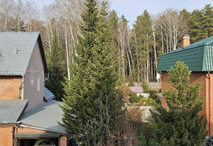 Дом 329м², 2-этажный, участок 6 сот.  