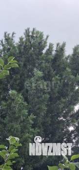 Дом 100м&sup2;, 2-этажный, участок 4 сот.  