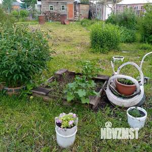 Дом 50м&sup2;, 2-этажный, участок 6 сот.  