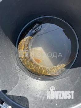 Дом 48м&sup2;, 2-этажный, участок 4 сот.  