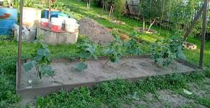 Дом 30м&sup2;, 2-этажный, участок 10 сот.  