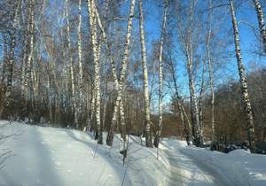 Дом 110м&sup2;, 2-этажный, участок 3 сот.  