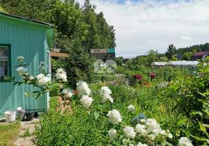 Дом 60м², 1-этажный, участок 17 сот.  