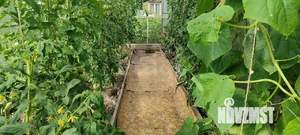 Дом 40м&sup2;, 1-этажный, участок 8 сот.  