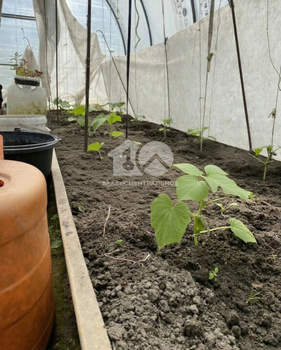 Дом 20м², 1-этажный, участок 6 сот.  