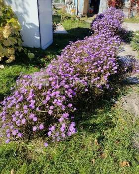 Дом 25м&sup2;, 2-этажный, участок 7 сот.  