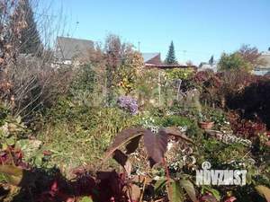 Дом 80м&sup2;, 2-этажный, участок 4 сот.  