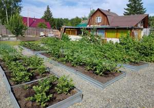 Дом 124м&sup2;, 1-этажный, участок 11 сот.  