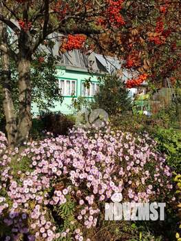 Дом 60м&sup2;, 1-этажный, участок 17 сот.  