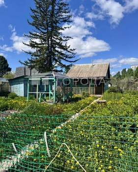 Дом 50м&sup2;, 1-этажный, участок 6 сот.  