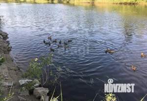 Дом 80м&sup2;, 3-этажный, участок 3 сот.  