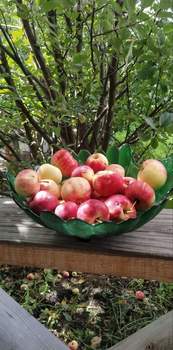 Дом 137м², 1-этажный, участок 14 сот.  