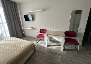 Студия квартира, на длительный срок, 25м2, 9/17 этаж