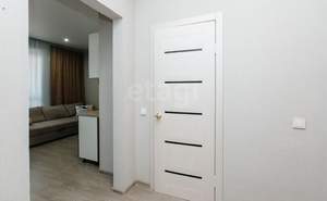 Студия квартира, на длительный срок, 25м2, 14/25 этаж