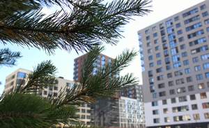 2-к квартира, на длительный срок, 40м2, 3/17 этаж