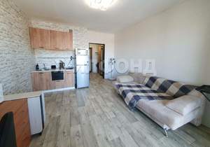 1-к квартира, на длительный срок, 27м2, 20/25 этаж