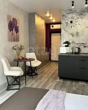 Студия квартира, на длительный срок, 24м2, 7/25 этаж